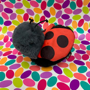 Lovebug Ladybug