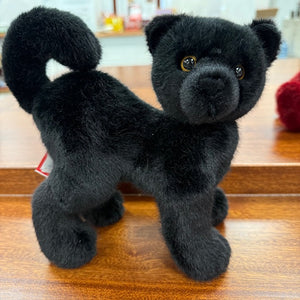 Scaredy Black Cat
