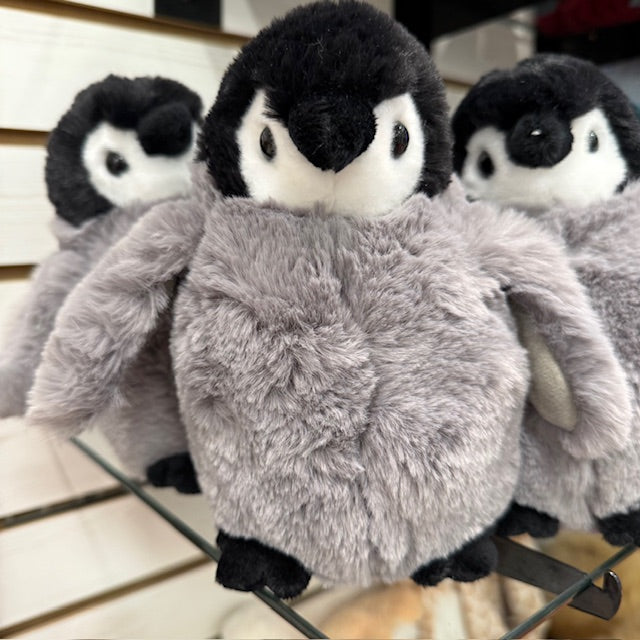 Cuddles Penguin Chick
