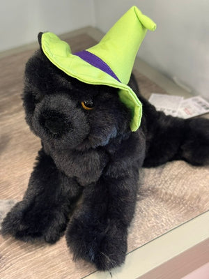 Witch Cat