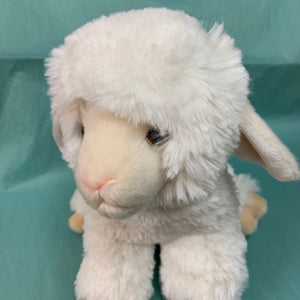 Dollie Lamb Soft