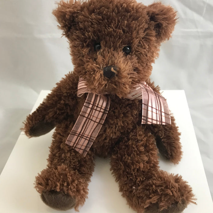 Cuddly Brown Teddy Bear with Blue Bow